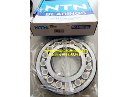 BẠC ĐẠN 21318D1 NTN